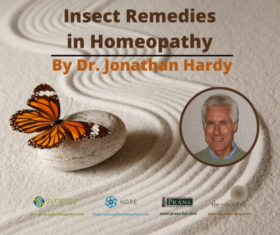 Insects Remedies in Homeopathy By Dr. Jonathan Hardy
